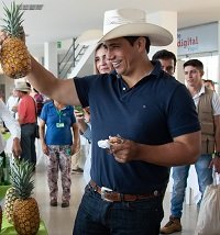 Este fin de semana eventos de promoción de las cadenas productivas agrícolas de piña y plátano