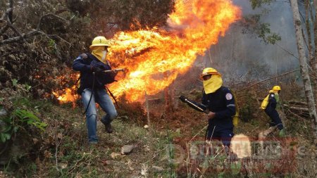 Desolador panorama de los incendios forestales este año en Casanare