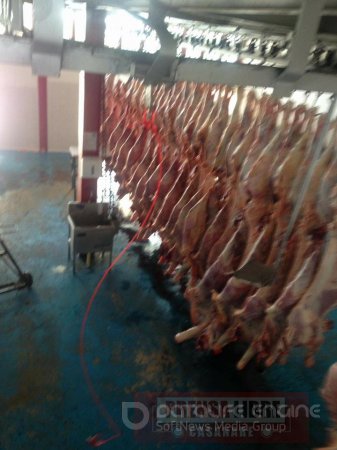 160 kilos de carne se estarían desapareciendo diariamente de la Planta de beneficio Animal de Yopal